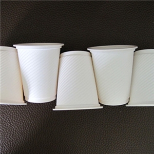 環保一（yī）次（cì）性（xìng）餐具