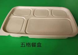 一次（cì）性餐（cān）具（jù）