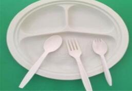 一次性餐(cān)具廠家