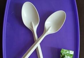 一次性環保（bǎo）餐具