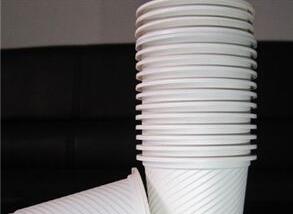 一次(cì)性玉米澱粉餐具